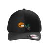 Rad Flexback Cap Thumbnail