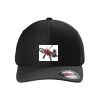 Rad Flexback Cap Thumbnail