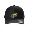Rad Flexback Cap Thumbnail