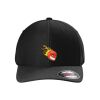 Rad Flexback Cap Thumbnail
