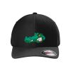 Rad Flexback Cap Thumbnail