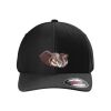 Rad Flexback Cap Thumbnail