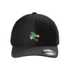 Rad Flexback Cap Thumbnail