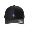 Rad Flexback Cap Thumbnail