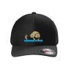 Rad Flexback Cap Thumbnail