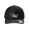 Rad Flexback Cap Thumbnail