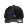 Rad Flexback Cap Thumbnail