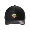 Rad Flexback Cap Thumbnail