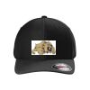 Rad Flexback Cap Thumbnail