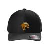 Rad Flexback Cap Thumbnail
