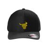 Rad Flexback Cap Thumbnail