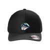 Rad Flexback Cap Thumbnail