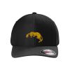 Rad Flexback Cap Thumbnail