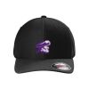 Rad Flexback Cap Thumbnail