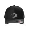 Rad Flexback Cap Thumbnail