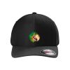 Rad Flexback Cap Thumbnail