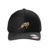 Rad Flexback Cap Thumbnail