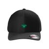 Rad Flexback Cap Thumbnail