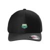 Rad Flexback Cap Thumbnail